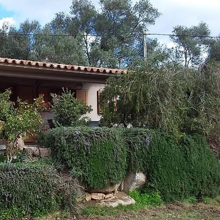 Casa-Lesia Villa Porto-Vecchio  Dış mekan fotoğraf
